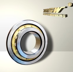 F-554185 cylindrical roller bearing
